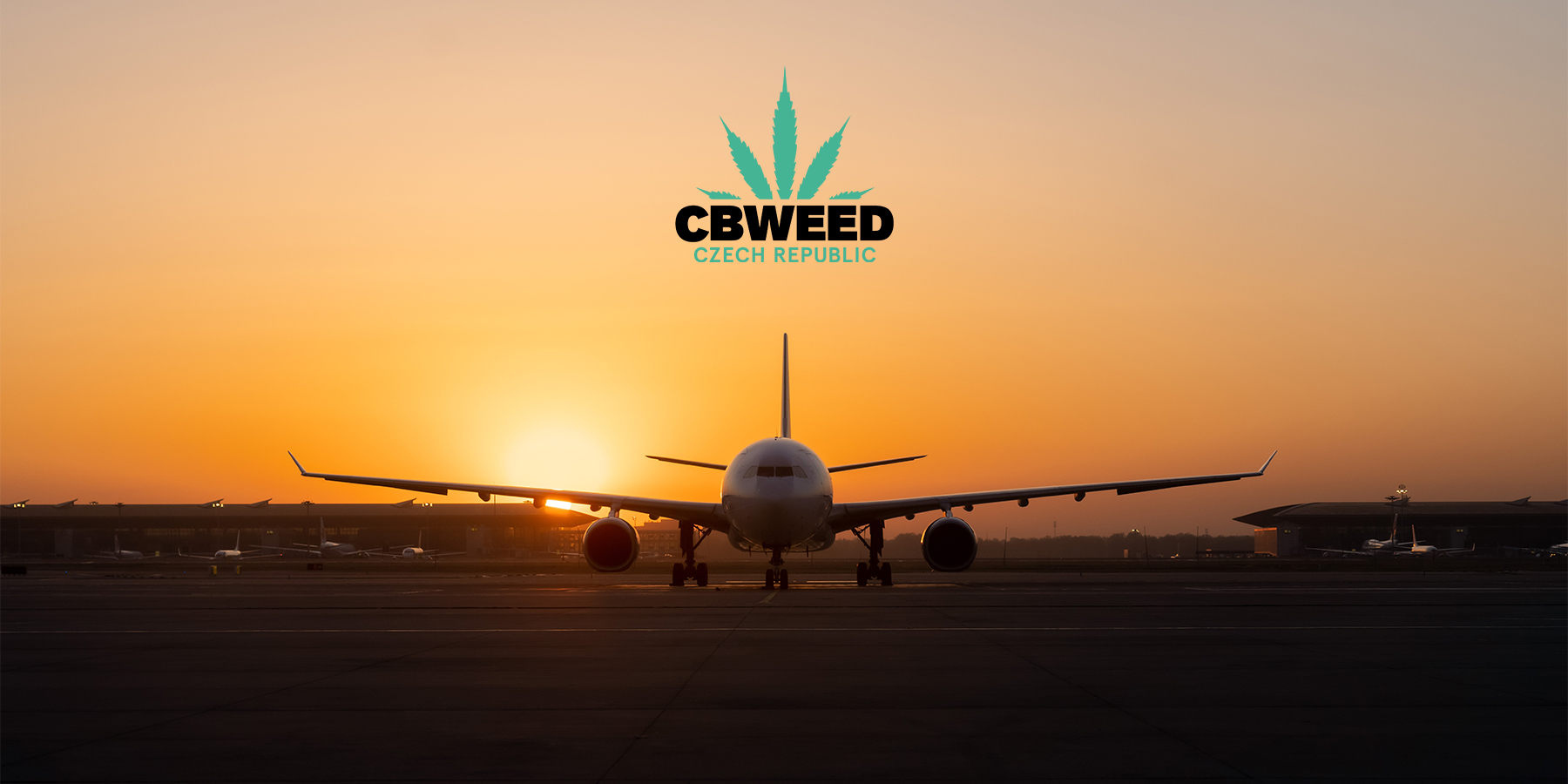 Cestujeme s CBD: 5 tipů, co si vzít s sebou na cesty