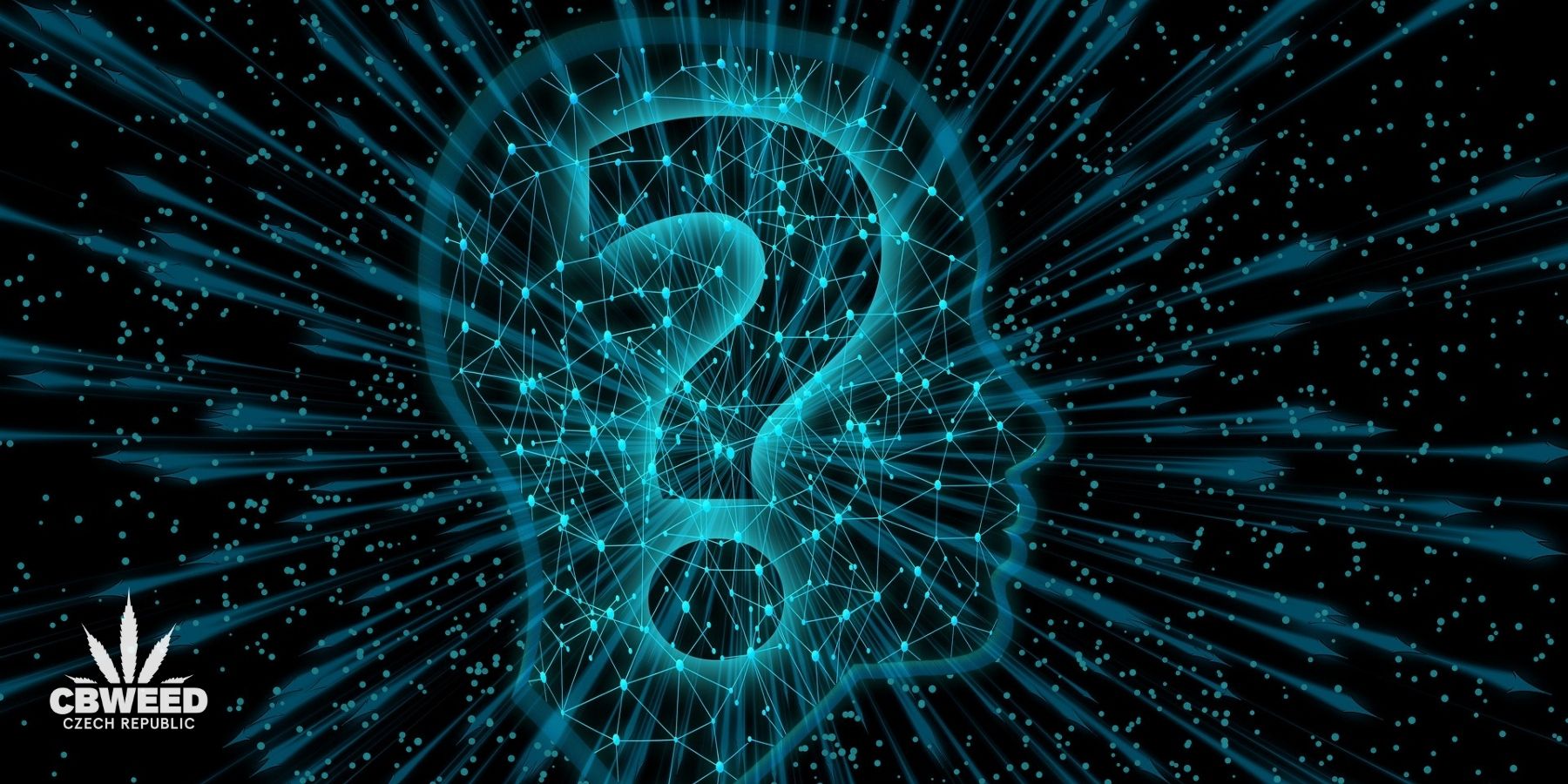 Jak funguje endokanabinoidní systém a co to je?