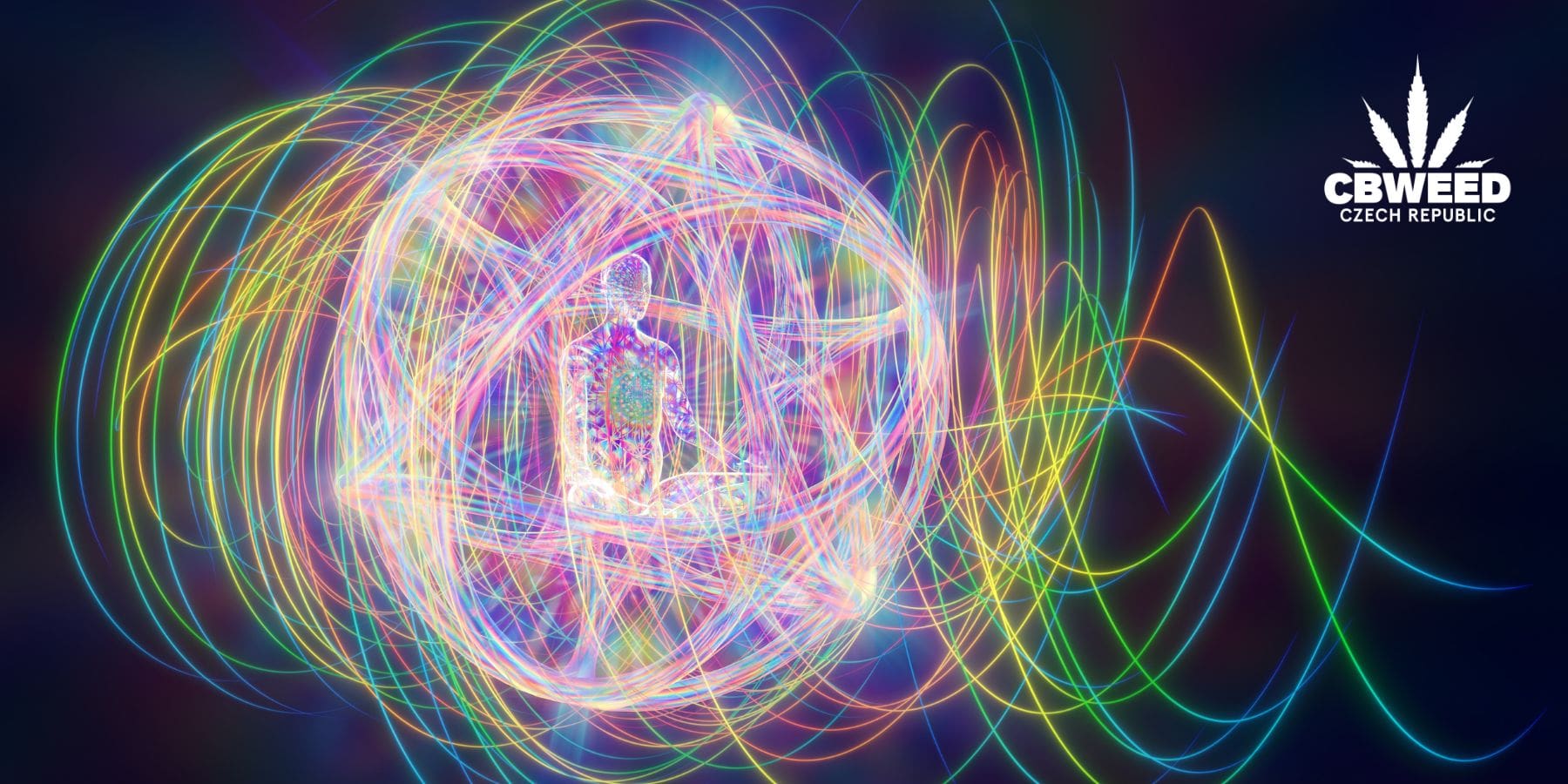Léčba psychedeliky zažívá světovou renesanci. Absolvovat ji můžete i v Česku
