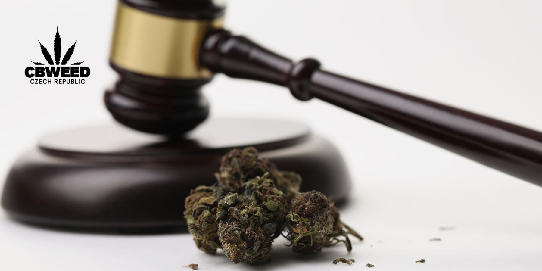 Diskuse o legalizaci konopí je nejdál za poslední roky. Jak se můžeme zapojit my?