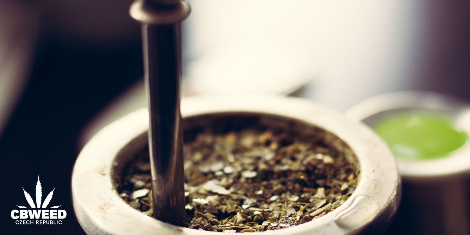 Wayusa: Když chcete od energetického nápoje víc než kofein