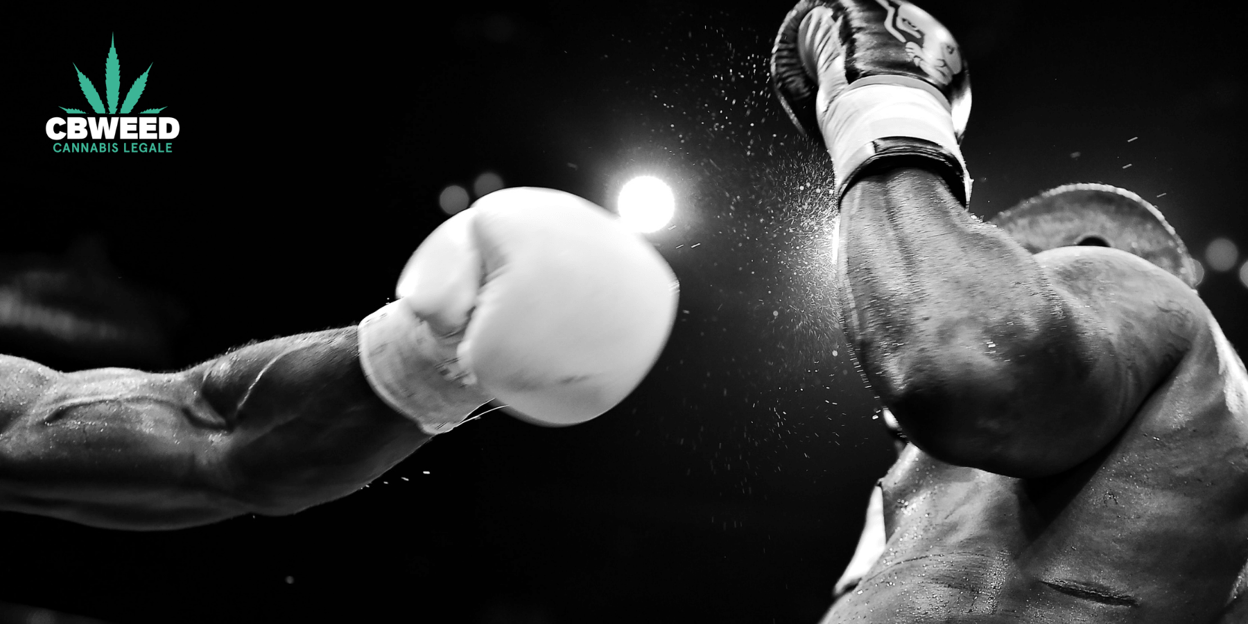 Proč nedají vrcholoví sportovci dopustit na CBD?