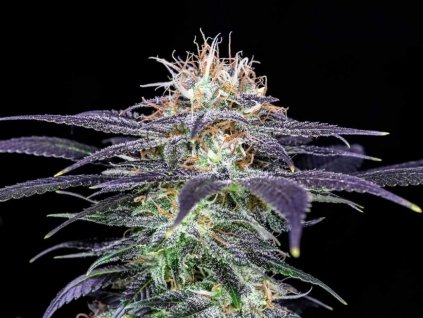 deep candy cbd