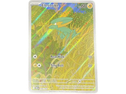 WhatsApp Image 2025 07 02 at 10.06.14 (3)