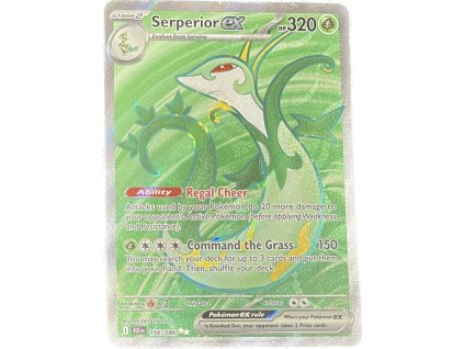 WhatsApp Image 2025 11 07 at 09.38.46 (5)