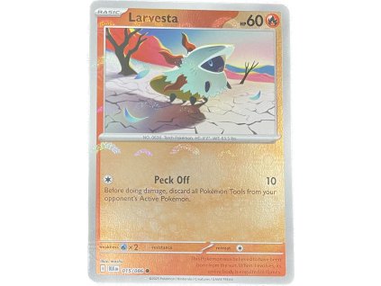 WhatsApp Image 2025 11 07 at 09.38.48