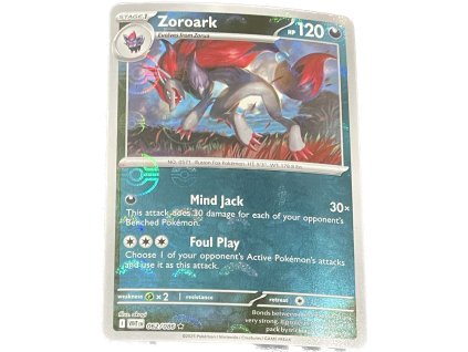 WhatsApp Image 2026 01 09 at 08.26.14 (3)