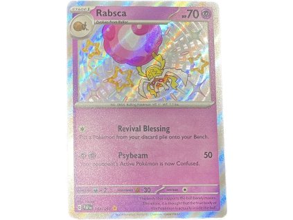 WhatsApp Image 2026 01 13 at 11.34.08