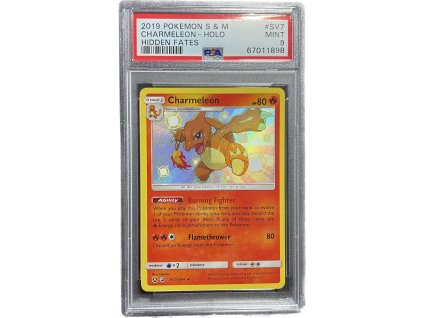 WhatsApp Image 2026 01 27 at 08.50.02