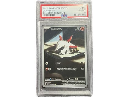 WhatsApp Image 2026 01 27 at 08.50.04