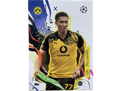 WhatsApp Image 2026 02 02 at 08.20.00