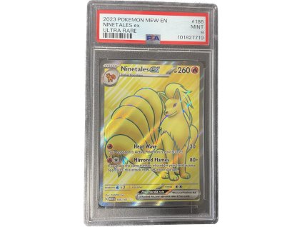 WhatsApp Image 2026 02 02 at 12.59.39 (1)