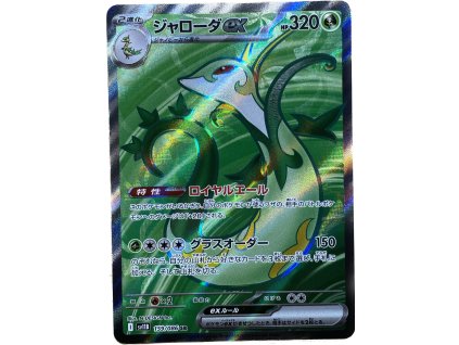 WhatsApp Image 2026 02 06 at 12.26.57