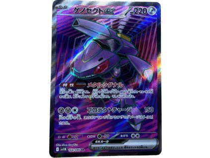 WhatsApp Image 2026 02 06 at 12.34.57