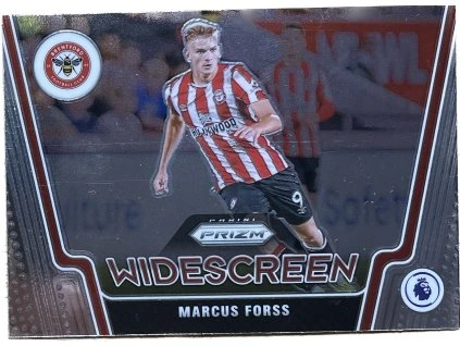 WhatsApp Image 2026 02 10 at 11.19.09