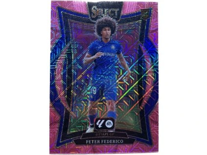 WhatsApp Image 2026 02 10 at 14.35.51 (3)