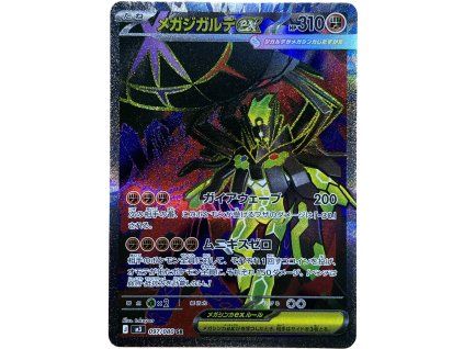 WhatsApp Image 2026 02 12 at 10.25.11 (3)