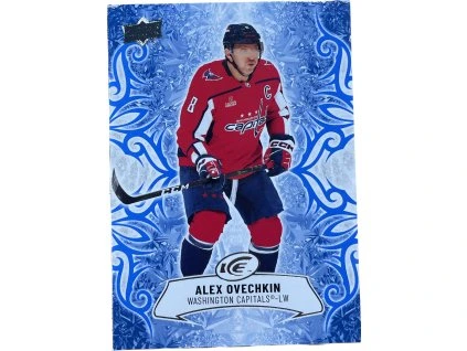 WhatsApp Image 2026 02 16 at 14.31.39 (2)