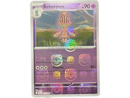 WhatsApp Image 2026 02 19 at 08.17.14 (2)