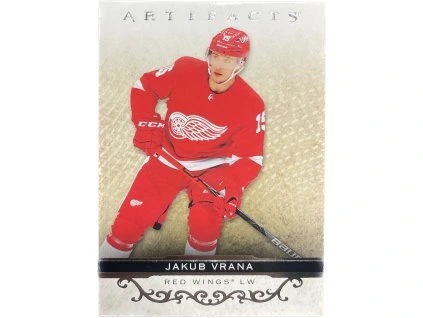 WhatsApp Image 2026 02 19 at 09.11.45 (3)