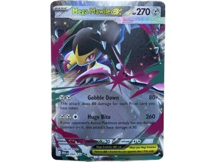 WhatsApp Image 2026 03 03 at 13.31.00