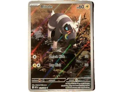 WhatsApp Image 2026 03 06 at 08.38.58 (1)