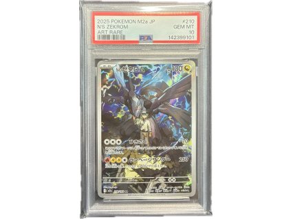 WhatsApp Image 2026 03 06 at 12.44.50