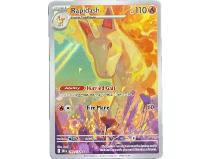 WhatsApp Image 2026 03 11 at 09.52.54