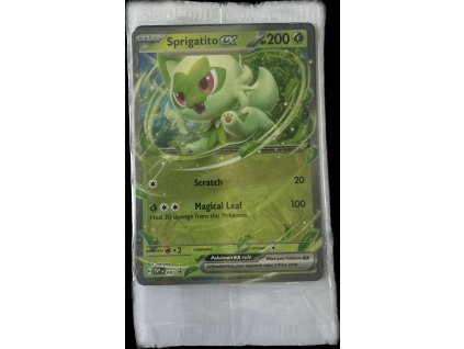 WhatsApp Image 2024 07 25 at 10.42.47