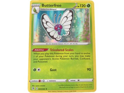 WhatsApp Image 2024 08 05 at 09.07.23 (2)