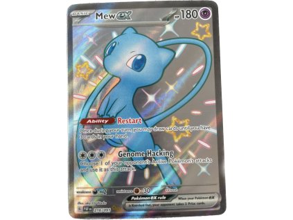 WhatsApp Image 2024 08 05 at 09.07.25 (1)