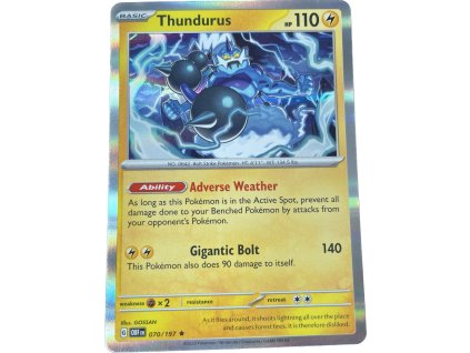 WhatsApp Image 2024 08 02 at 12.26.19 (1)