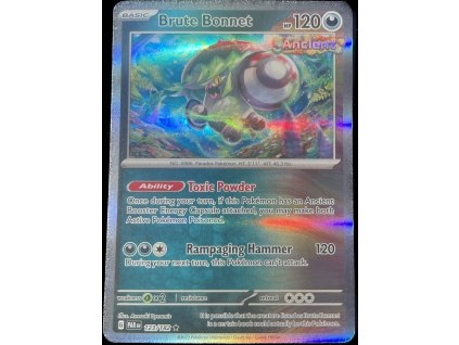 WhatsApp Image 2024 08 22 at 11.13.17 (2)