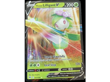 WhatsApp Image 2024 08 29 at 12.15.22