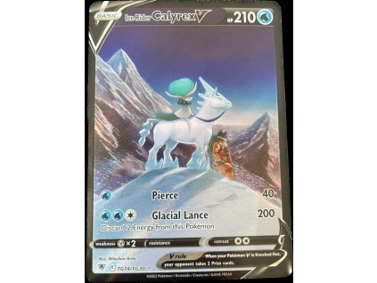 WhatsApp Image 2024 08 29 at 12.15.22 (3)