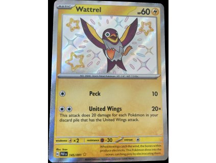 WhatsApp Image 2024 09 10 at 08.32.47