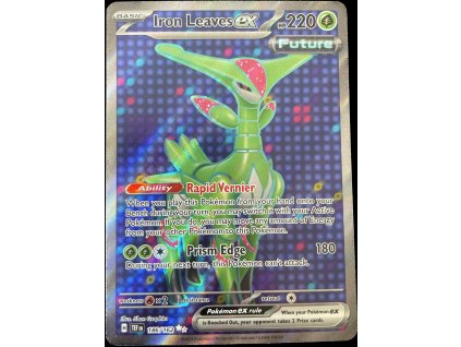 WhatsApp Image 2024 09 10 at 08.32.49 (2)