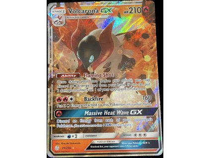 WhatsApp Image 2024 10 01 at 14.34.47 (1)