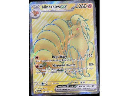 WhatsApp Image 2024 10 05 at 09.31.45