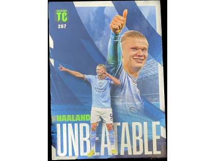 WhatsApp Image 2024 10 07 at 10.02.14