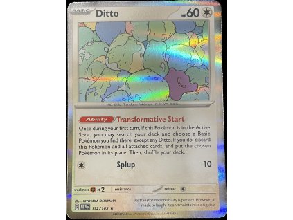 WhatsApp Image 2024 10 08 at 10.31.33