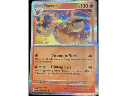 WhatsApp Image 2024 10 08 at 10.31.33 (2)