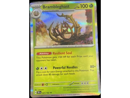 WhatsApp Image 2024 10 08 at 10.31.38