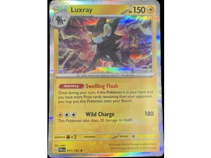 WhatsApp Image 2024 10 08 at 10.31.39 (1)