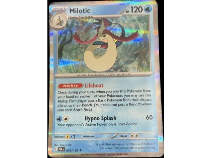 WhatsApp Image 2024 10 08 at 10.31.40