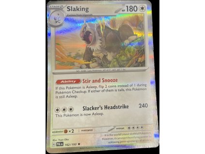 WhatsApp Image 2024 10 08 at 10.31.42 (1)