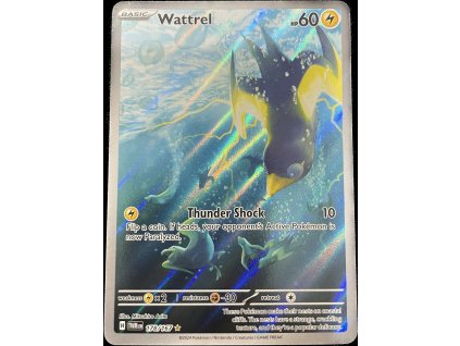 WhatsApp Image 2024 10 22 at 15.35.44 (1)