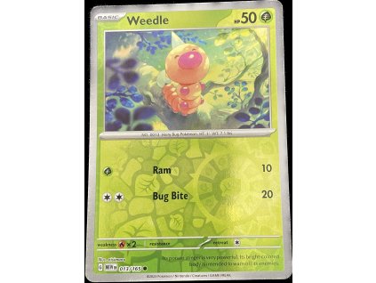 WhatsApp Image 2024 11 05 at 10.28.59 (5)