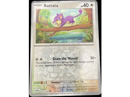 WhatsApp Image 2024 11 05 at 10.29.01 (1)