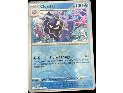 WhatsApp Image 2024 11 05 at 10.29.02